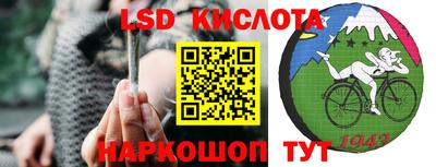 прущие грибы Краснознаменск