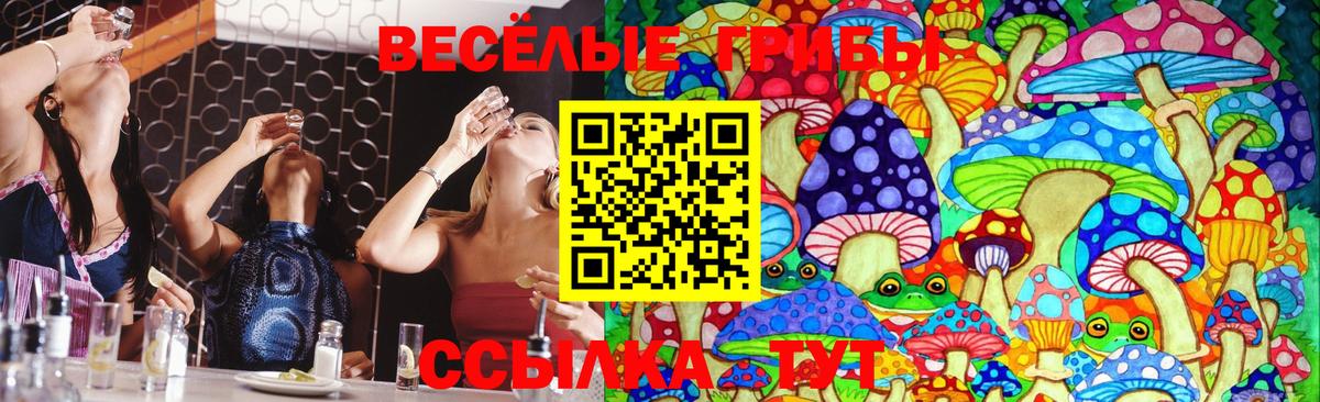 Галлюциногенные грибы Cubensis  Вход с VPN  Галлюциногенные грибы Psilocybine cubensis  Арзамас 