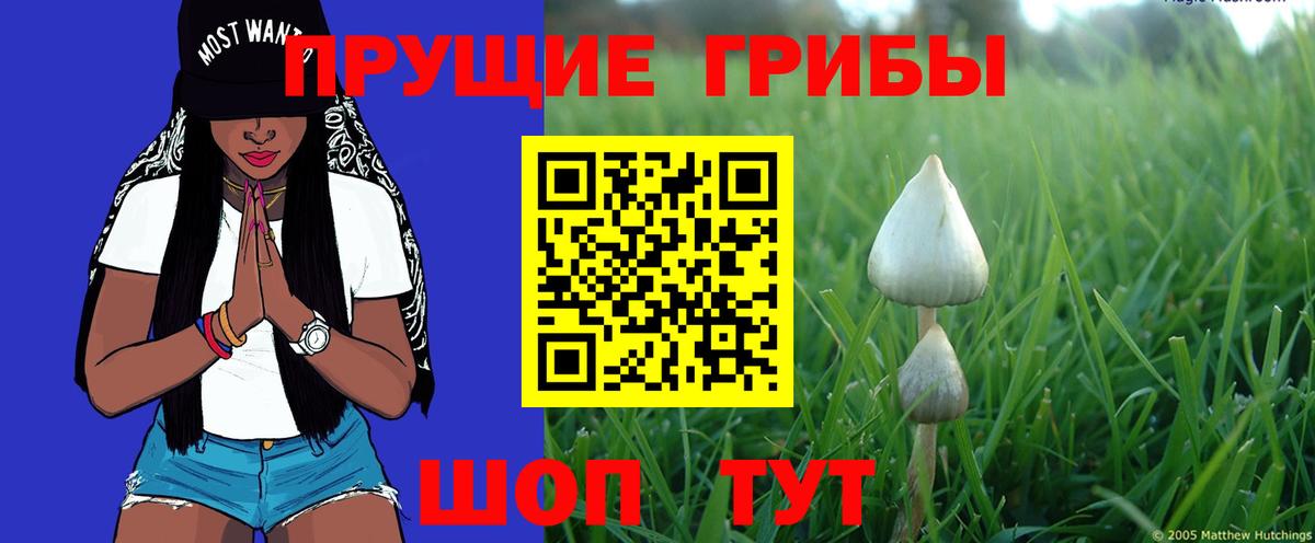 Галлюциногенные грибы мицелий Арзамас